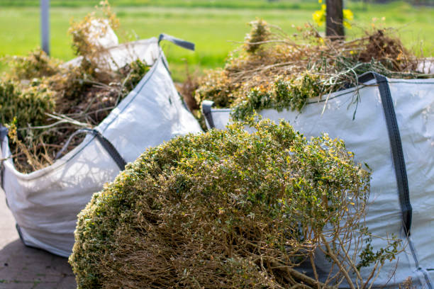 Best Same-Day Junk Removal  in Stroville, CA